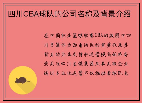 四川CBA球队的公司名称及背景介绍